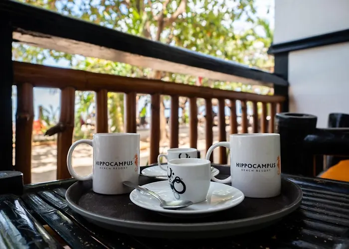 Hippocampus Resort 3*