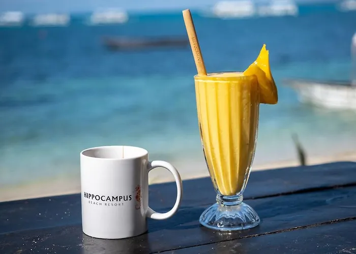 Resort Hippocampus Logon
