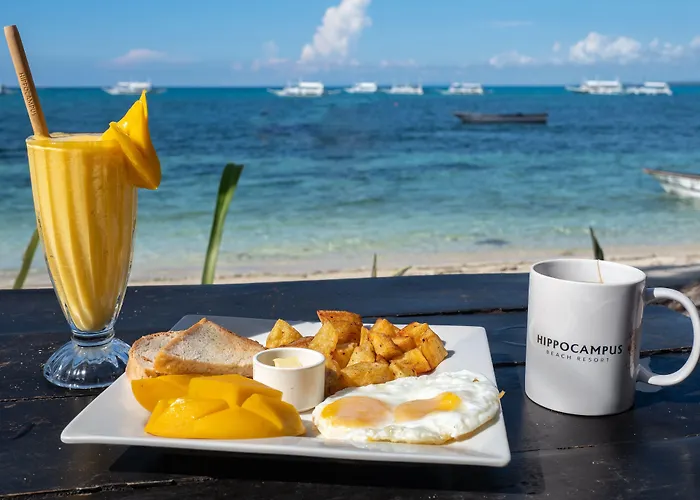 Resort Hippocampus Logon