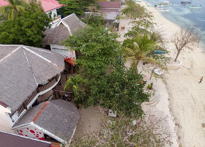 Hippocampus Logon