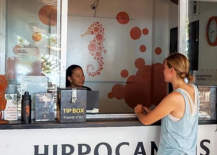 Hippocampus 3*